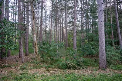 Lot 204 Raven Drive, New Lisbon, WI 53950 - Photo 22
