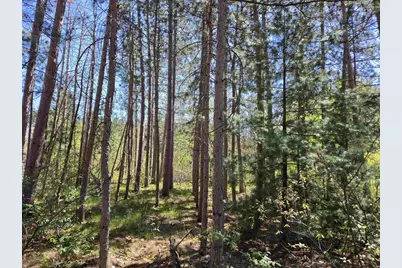 Lot 204 Raven Drive, New Lisbon, WI 53950 - Photo 28