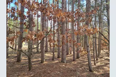 Lot 204 Raven Drive, New Lisbon, WI 53950 - Photo 44