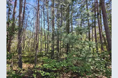 Lot 204 Raven Drive, New Lisbon, WI 53950 - Photo 2