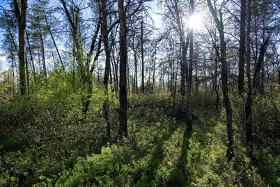 2 Ac 25th St E, Necedah, WI 54646 - Photo 14