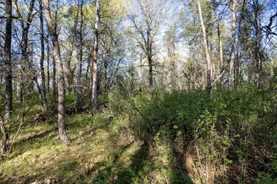 2 Ac 25th St E, Necedah, WI 54646 - Photo 22