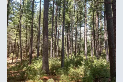 3.2 Ac Fern Avenue, Oxford, WI 53952 - Photo 8