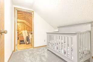 W10290 Lumsden Rd, Elroy, WI 53929 - Photo 48