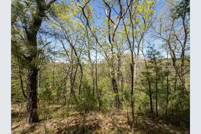 Fern Ave &amp; 3142 2nd Court, Oxford, WI 53952 - Photo 66