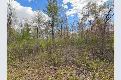521 Cottonville Avenue, Friendship, WI 53934 - Photo 30