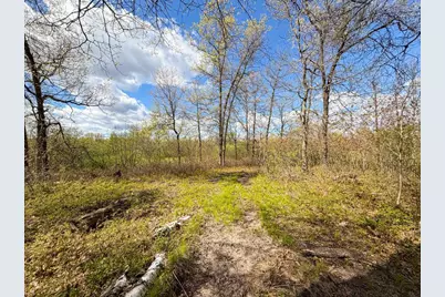 521 Cottonville Avenue, Friendship, WI 53934 - Photo 22