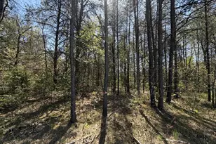1 52 Acres Queens Way, Necedah, WI 54646 - Photo 1