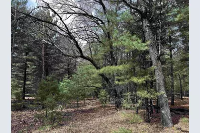 N7357 County  A Road, Westfield, WI 53964 - Photo 26