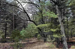 N7357 County A Rd, Westfield, WI 53964 - Photo 26