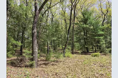 N5488 Black Road, Mauston, WI 53948 - Photo 8