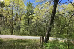 N5488 Black Rd, Mauston, WI 53948 - Photo 14