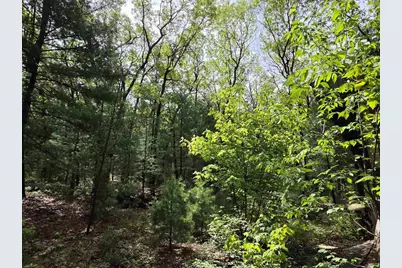 N5488 Black Road, Mauston, WI 53948 - Photo 44