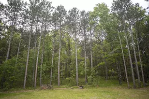W3090 Yellow Banks Trail, Nekoosa, WI 54457 - Photo 46