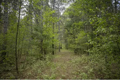 W3090 Yellow Banks Trail, Nekoosa, WI 54457 - Photo 60