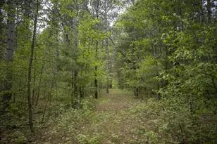 W3090 Yellow Banks Trail, Nekoosa, WI 54457 - Photo 60