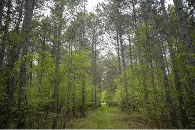 W3090 Yellow Banks Trail, Nekoosa, WI 54457 - Photo 62