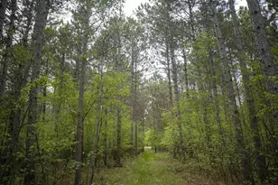 W3090 Yellow Banks Trail, Nekoosa, WI 54457 - Photo 62