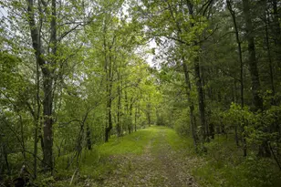 W3090 Yellow Banks Trail, Nekoosa, WI 54457 - Photo 58