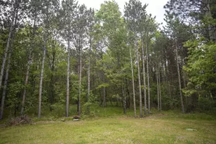 W3090 Yellow Banks Trail, Nekoosa, WI 54457 - Photo 44