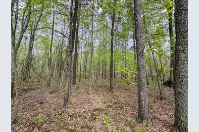 W6253 39th Street, New Lisbon, WI 53950 - Photo 72