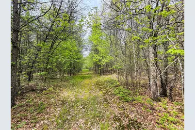 W6253 39th Street, New Lisbon, WI 53950 - Photo 62