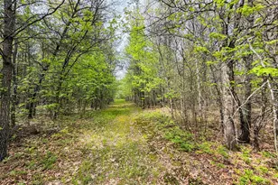 W6253 39th St, New Lisbon, WI 53950 - Photo 62