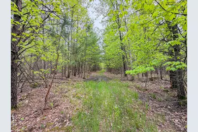 W6253 39th Street, New Lisbon, WI 53950 - Photo 60
