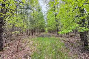 W6253 39th St, New Lisbon, WI 53950 - Photo 60