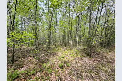 W6253 39th Street, New Lisbon, WI 53950 - Photo 64