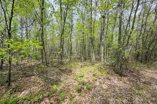 W6253 39th St, New Lisbon, WI 53950 - Photo 64