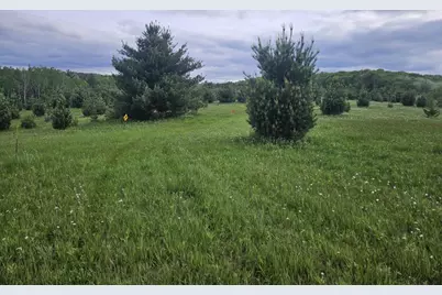 27526 County Highway X, Cashton, WI 54619 - Photo 36