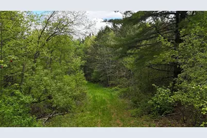 27526 County Highway X, Cashton, WI 54619 - Photo 38