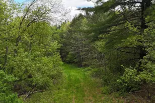 27526 Co Hwy X, Cashton, WI 54619 - Photo 38