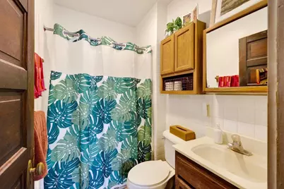 307 S Baldwin Street, Madison, WI 53703 - Photo 34