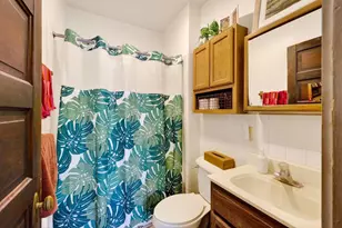 307 S Baldwin St, Madison, WI 53703 - Photo 34