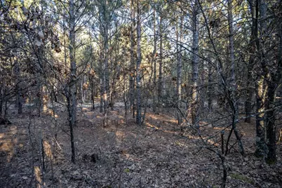 Lot 4 11th Drive, Friendship, WI 53934 - Photo 14