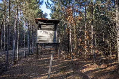 Lot 4 11th Drive, Friendship, WI 53934 - Photo 6
