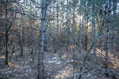 Lot 4 11th Drive, Friendship, WI 53934 - Photo 16