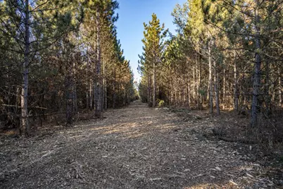 Lot 4 11th Drive, Friendship, WI 53934 - Photo 4