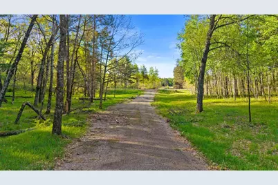 4.4 Ac Mol County Rd Z, Adams, WI 54457 - Photo 22