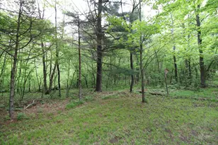 201841 Dorie Ln, Mosinee, WI 54455 - Photo 56