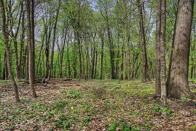 22880 Fancy Creek Lane, Richland Center, WI 53581 - Photo 88