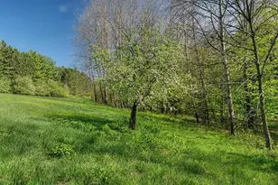 22880 Fancy Creek Ln, Richland Center, WI 53581 - Photo 84