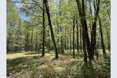5675 Spider Lake Road, Rhinelander, WI 54501 - Photo 60