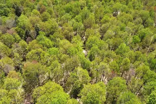 5675 Spider Lake Rd, Rhinelander, WI 54501 - Photo 68