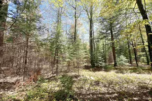 5675 Spider Lake Rd, Rhinelander, WI 54501 - Photo 56
