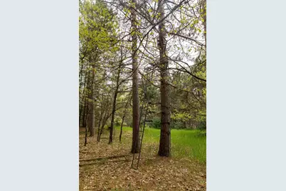 119 Duck Creek Avenue, Westfield, WI 53964 - Photo 66