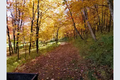 S8295 Dale Road, Loganville, WI 53943 - Photo 74