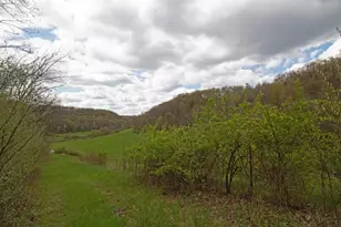 27538 County Road Dd, Richland Center, WI 53581 - Photo 48